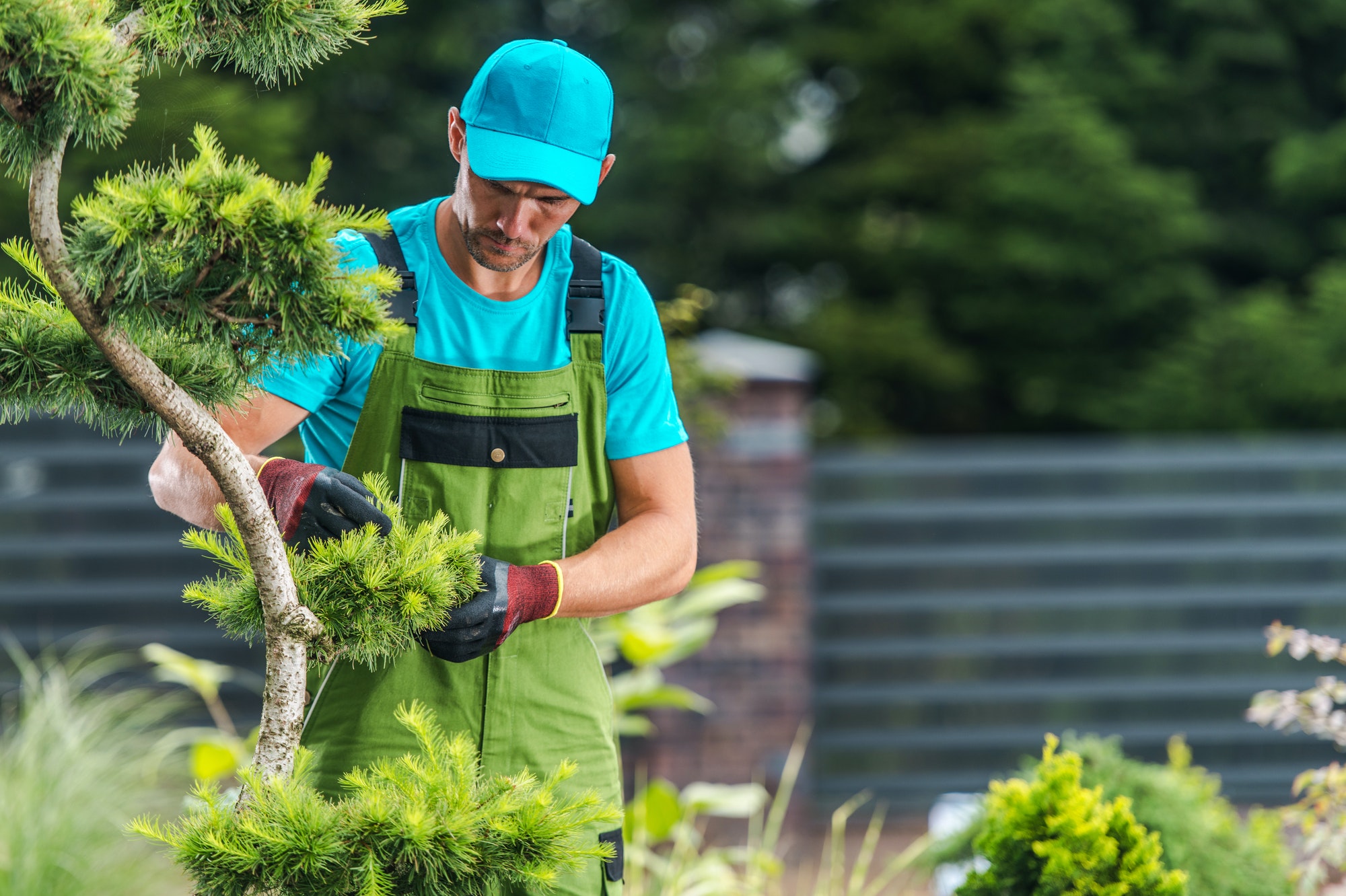 Садовник. Садовник фото. Садовник обучение. Gardener rrhnbyrr. Услуги садовника лучшего в мире.